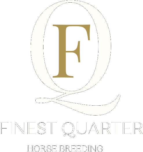 Finest Quarter Horse Breeding